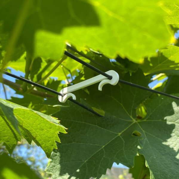 crochet-de-vigne-fixe