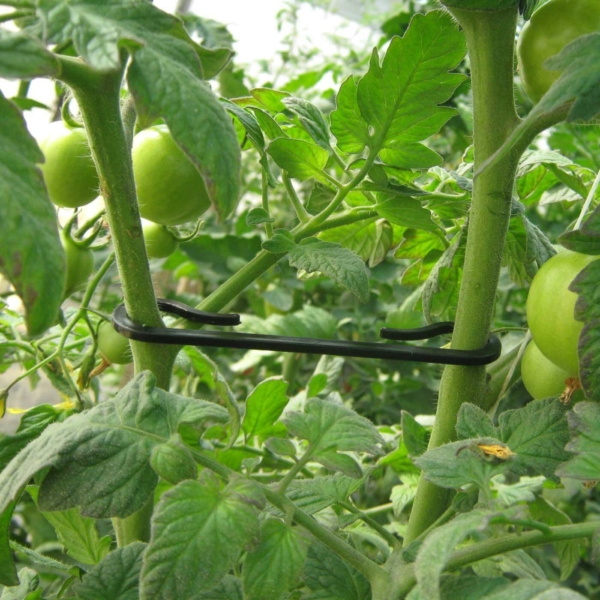 crochet-latéral-tomate